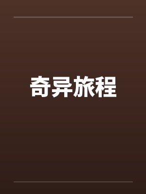 奇异旅途小说